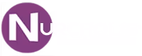 nurcholis