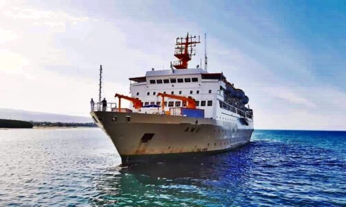 jadwal tiket kapal laut pelni km awu 2021 kumai surabaya