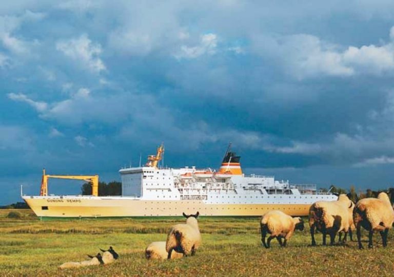 jadwal dan tiket kapal laut pelni km gunung dempo 2021 jakarta surabaya jayapura