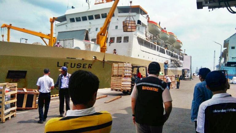 jadwal dan tiket kapal laut pelni km leuser 2021 denpasar