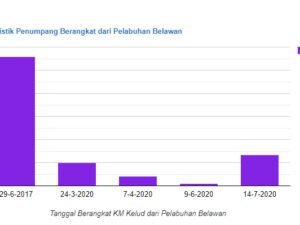 Statistik Penumpang Kapal Pelni di Pelabuhan Belawan