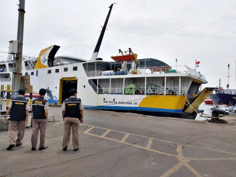 km satya kencana iii - jadwal kapal kumai surabaya