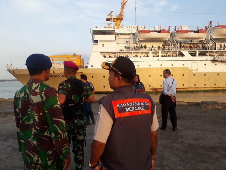 km tatamailau - jadwal dan tiket kapal laut pelni