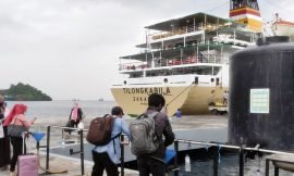 Jadwal Kapal Laut Bima – Makassar September 2023
