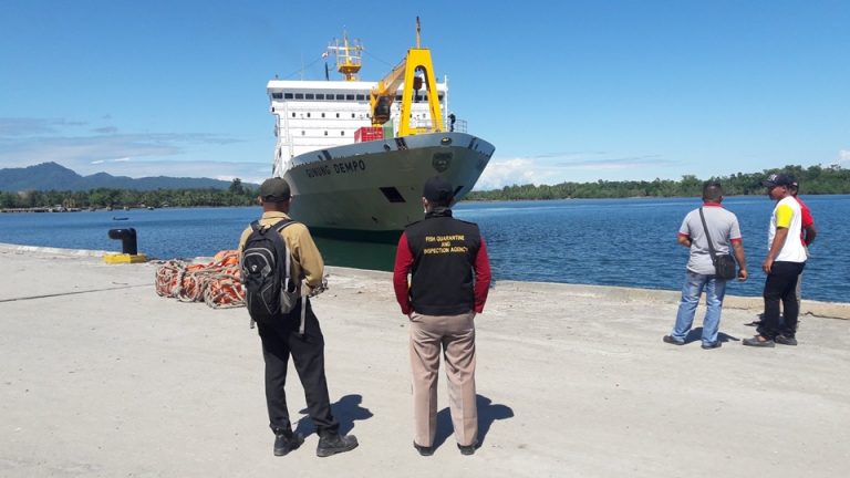 km gunung dempo - jadwal dan tiket kapal laut pelni 2022 jakarta ambon jayapura