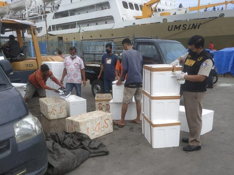 km umsini - jadwal dan tiket kapal laut pelni 2022