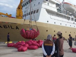 Jadwal Kapal Laut Baubau – Makassar September 2023