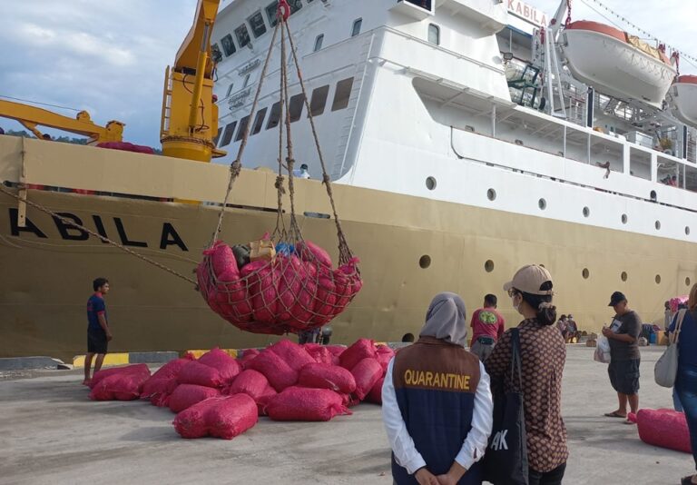 km tilongkabila - jadwal dan tiket kapal laut pelni 2023