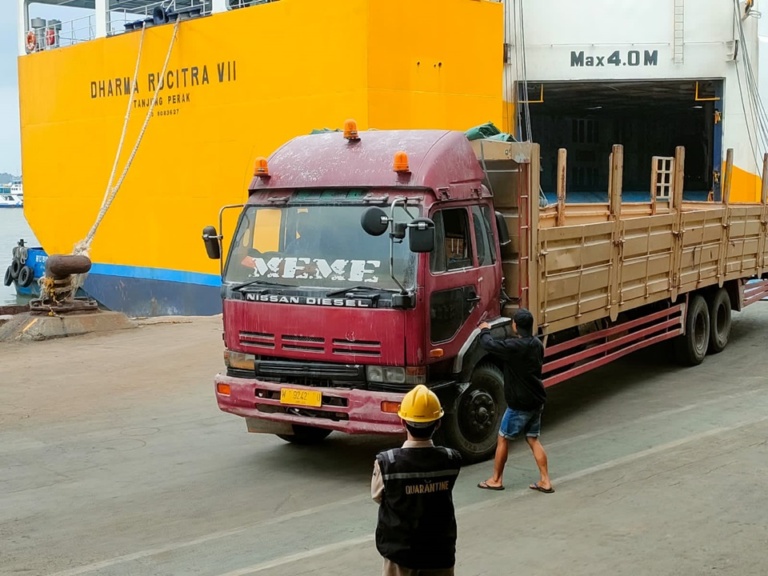 km dharma rucitra vii -- jadwal kapal laut juni 2024