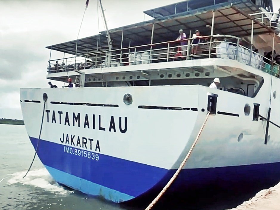 km tatamailau -- jadwal dan tiket kapal laut pelni 2024