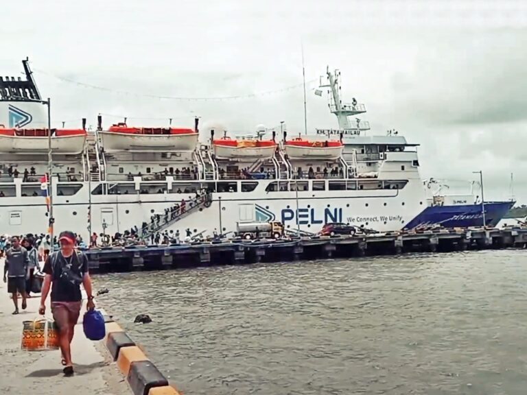 km tatamailau -- jadwal dan tiket kapal laut pelni 2024