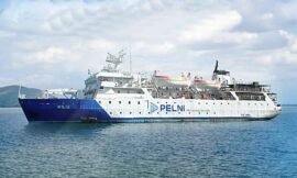 Jadwal Kapal Pelni KM Wilis November 2025