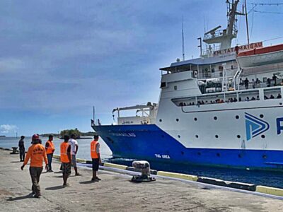 km tatamailau -- jadwal dan tiket kapal laut pelni